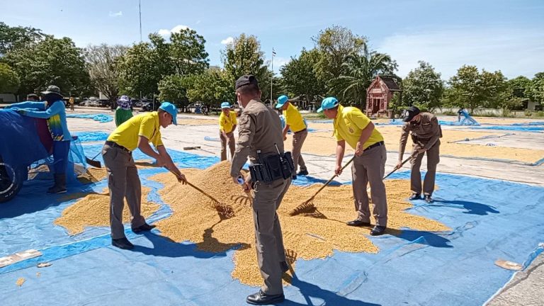 423193610_777385097766757_237310670644628945_n