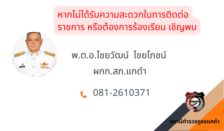 Professional Business Card (1)